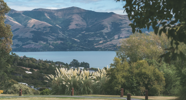 MtVernonLodge-March2021-Robin+Andie-13 1