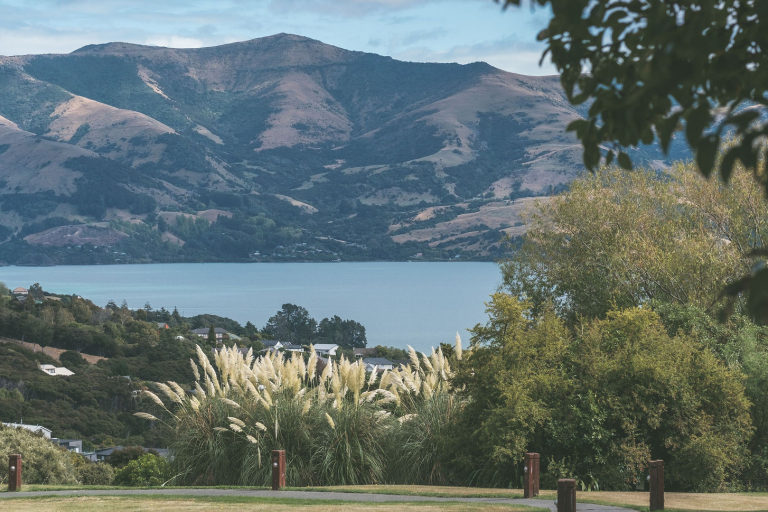 MtVernonLodge-March2021-Robin+Andie-13 1